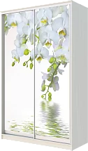 Шкаф-купе 2-х дверный с фотопечатью Белая орхидея 2400 1200 620